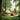 Choose Giratree: Sustainable Furniture That Protects Forests