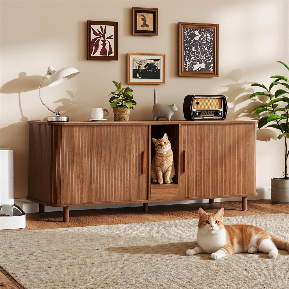 Cat inside a wooden cabinet with another cat on the floor in a living room setting.