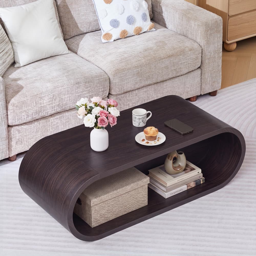 Dark 47'' Oval Coffee Table 2-Tier Center Table with Storage Shelf
