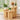 Natural Mid Century Modern Fluted Round Nesting Coffee Table Set of 3