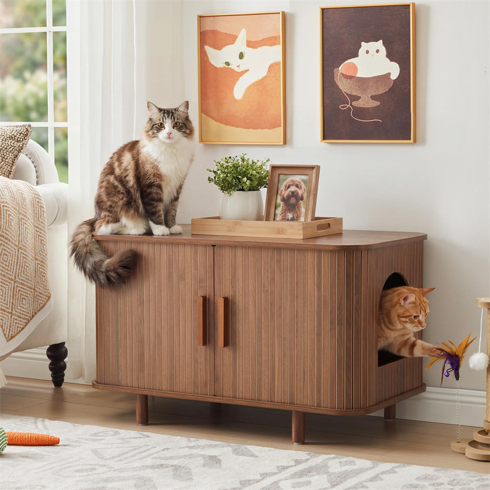 Wooden cabinet with a cat peeking out and another cat sitting on top, in a home setting.